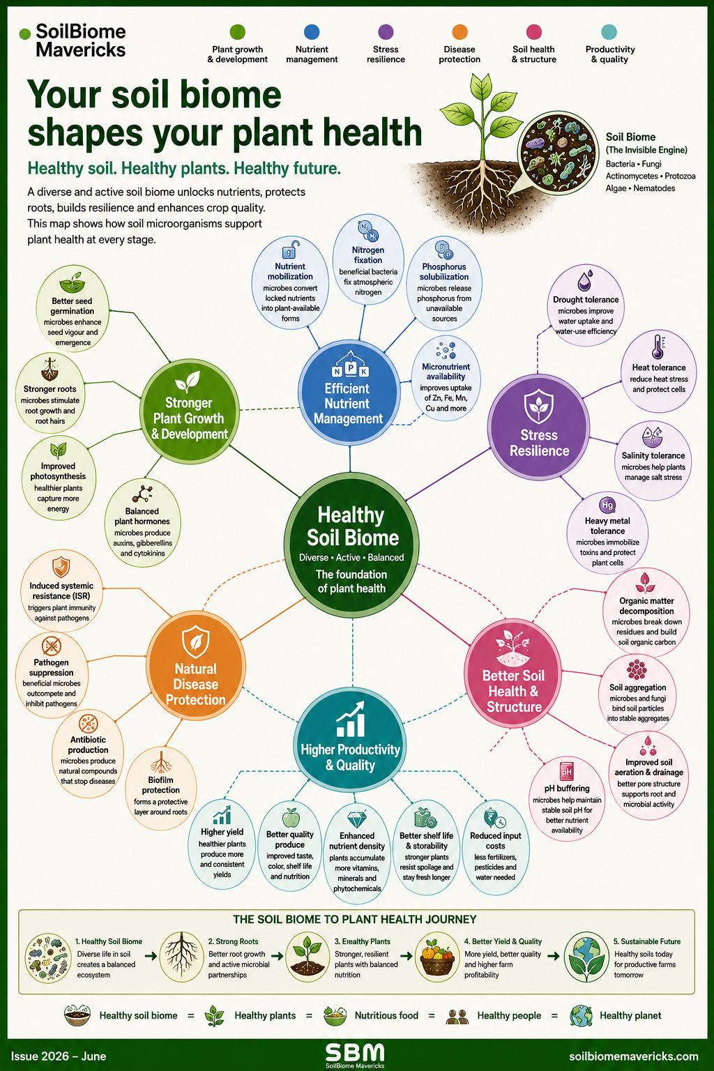 Soil biome map showing how a healthy soil biome improves plant growth, nutrient management, stress resilience, disease protection, soil health and productivity.