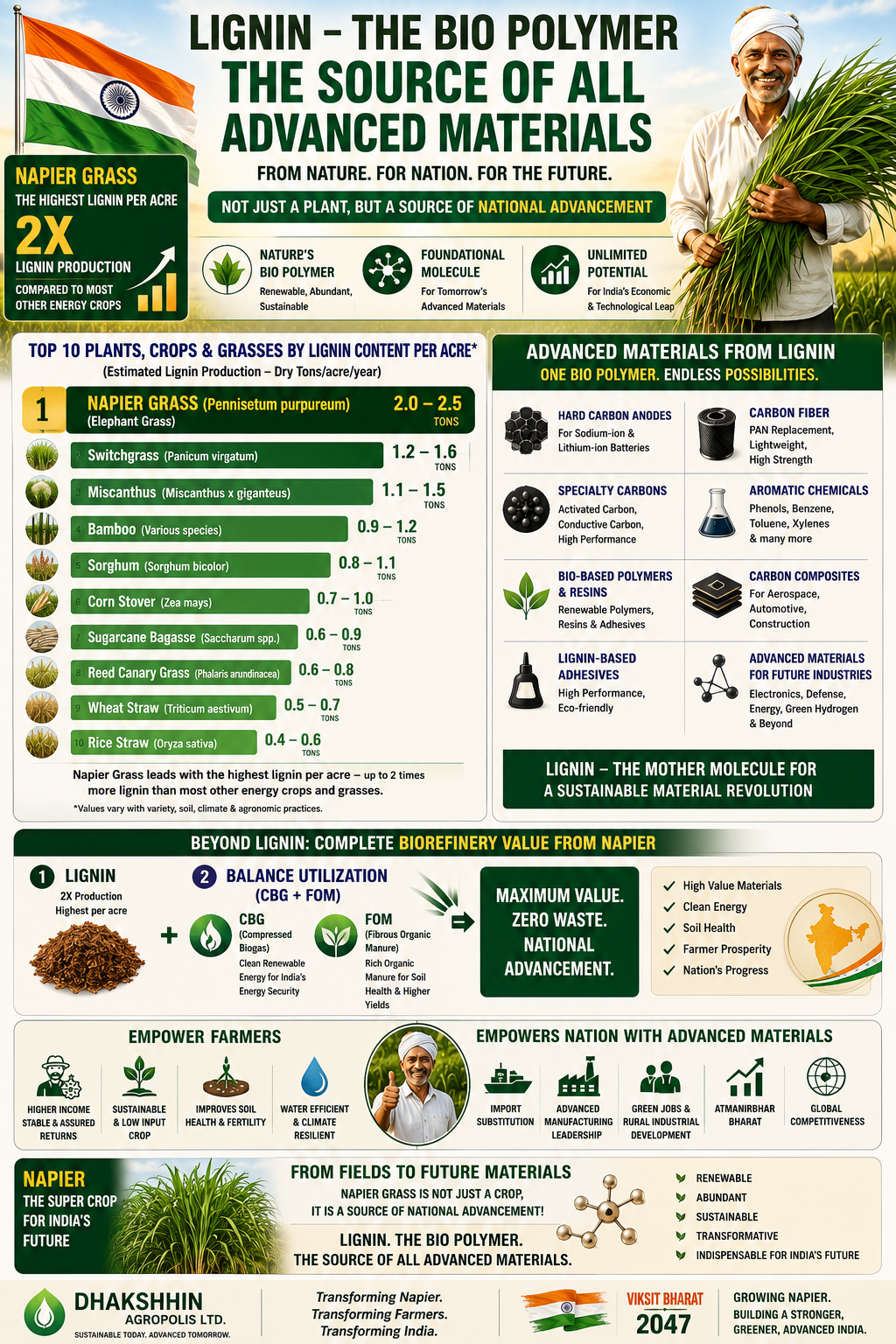 Lignin — the bio polymer, the source of all advanced materials. Napier ranked #1 among the top 10 lignin-producing crops per acre, with downstream applications across hard carbon anodes, carbon fibre, aromatic chemicals, bio-based polymers, composites and adhesives.