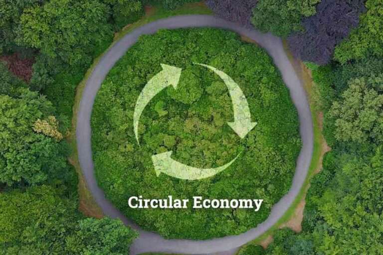 Aerial view of forest with circular recycling arrows symbolising the circular economy