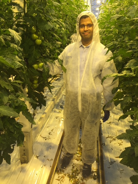 Founder inside a high-tech protected-cultivation tomato greenhouse in Europe