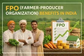 FPO benefits in India — collective produce, growth and finance icons