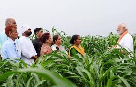 Prime Minister visiting an FPO Napier-style field with farmers