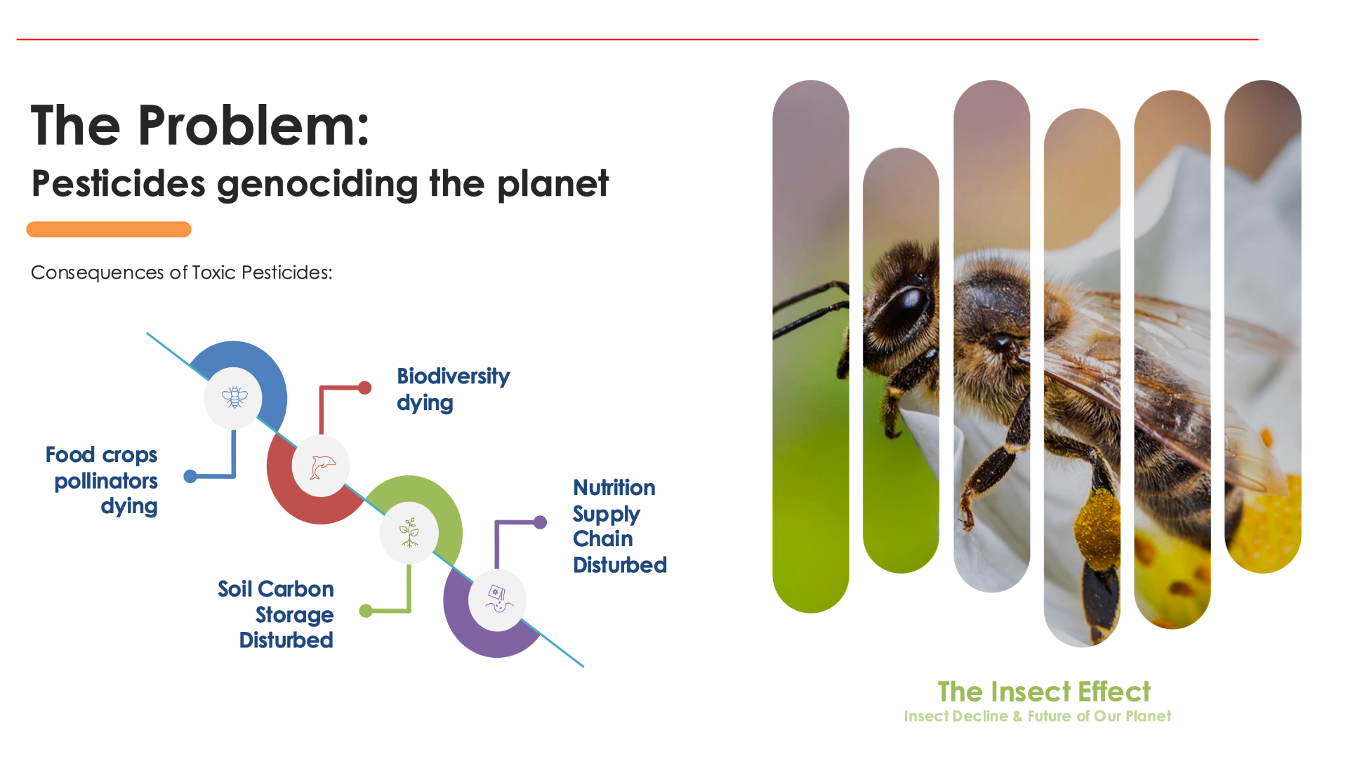 The problem — pesticides genociding the planet, killing pollinators and biodiversity