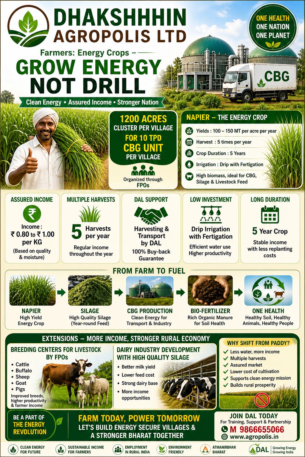 Dhakshhin Agropolis — Farmers: Energy Crops. Grow Energy Not Drill. 1,200-acre Napier cluster per village for a 10 TPD CBG unit, organised through FPOs.
