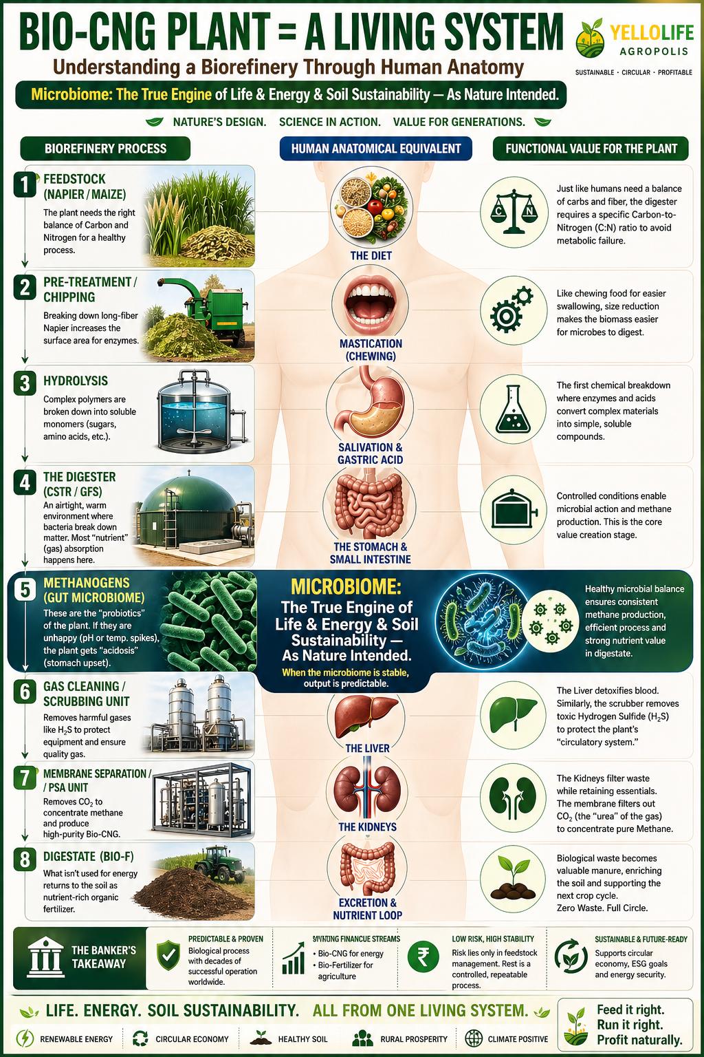 CBG plant as a living system