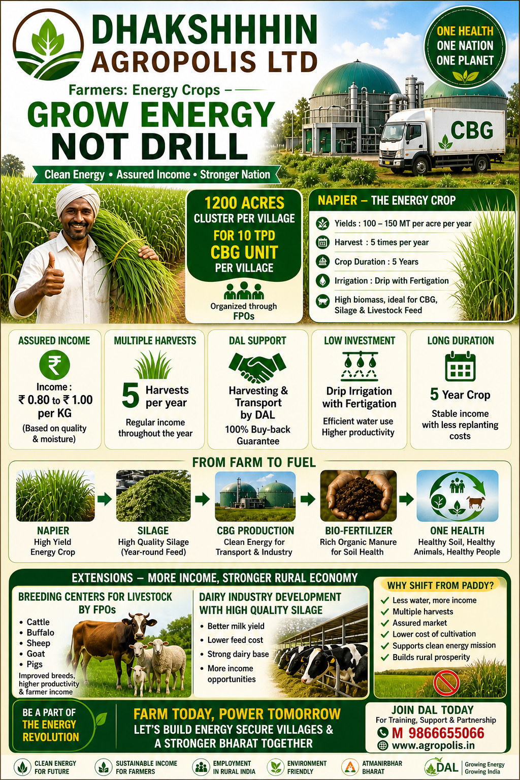 Grow energy, not drill — English