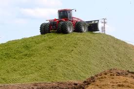 Drive-over pile