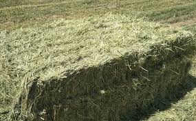 Square bales