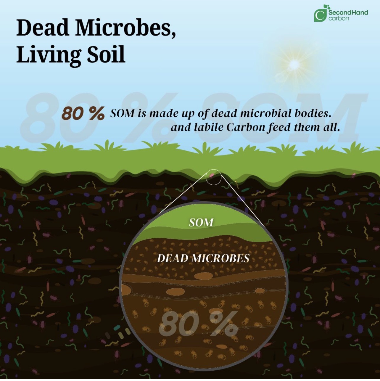 Dead microbes, living soil — 80% of SOM is microbial bodies