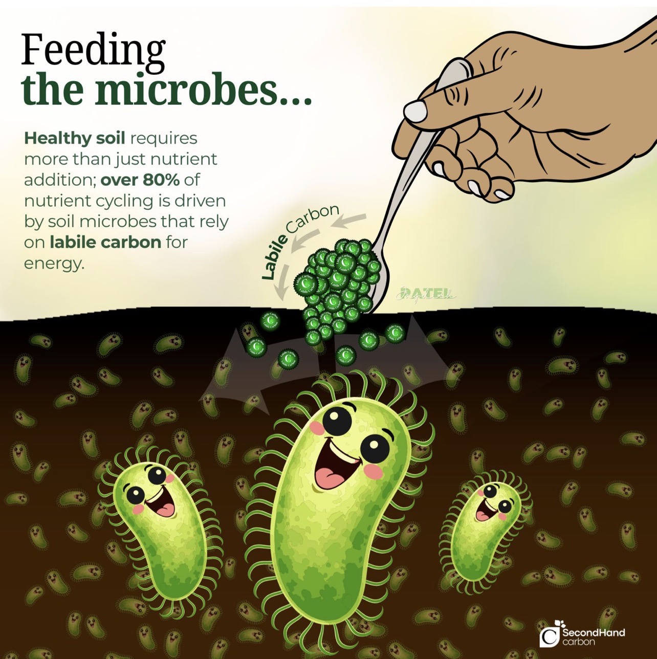 Feeding the microbes — over 80% of nutrient cycling is driven by soil microbes