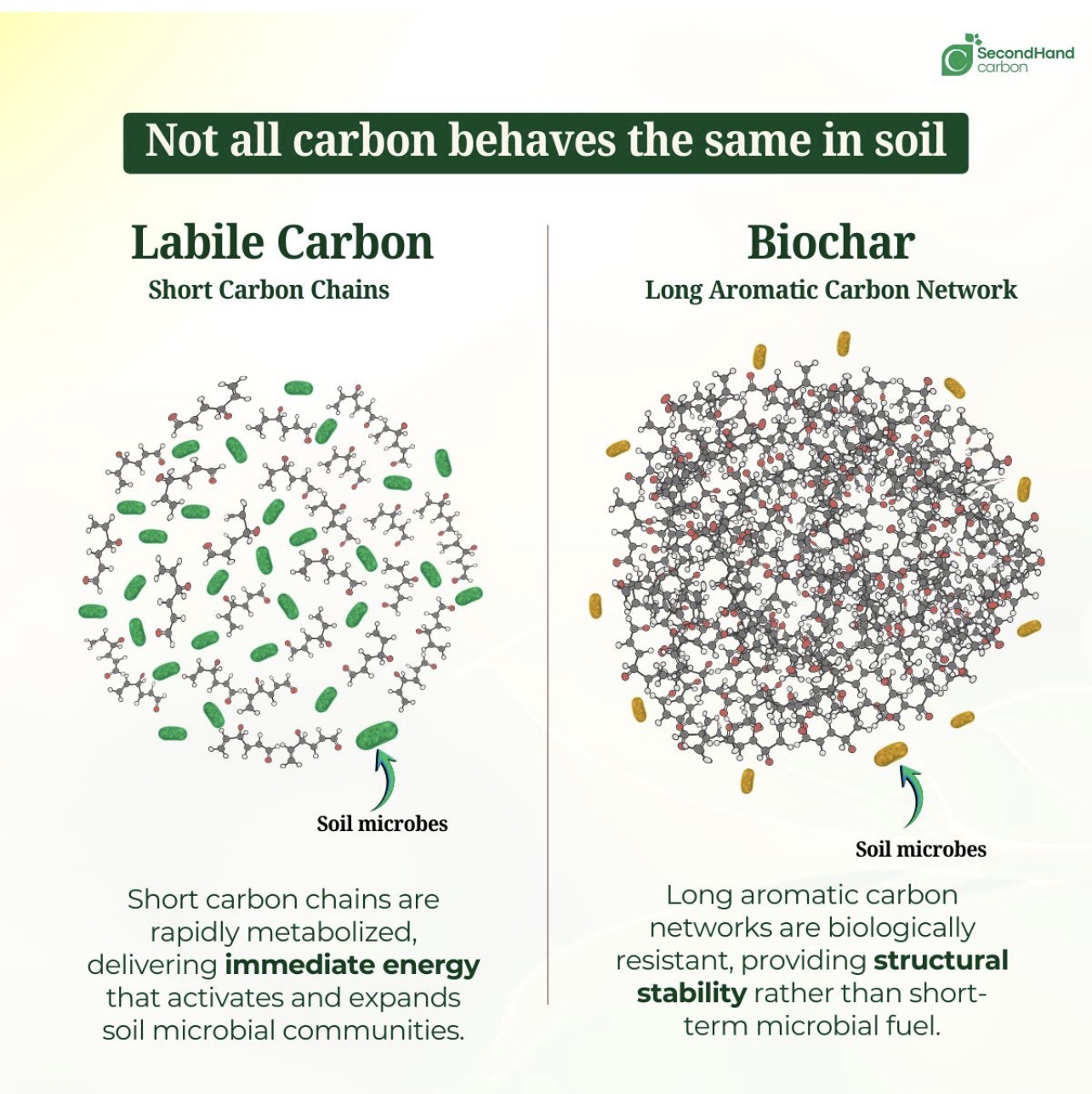 Labile carbon vs biochar — not all carbon behaves the same
