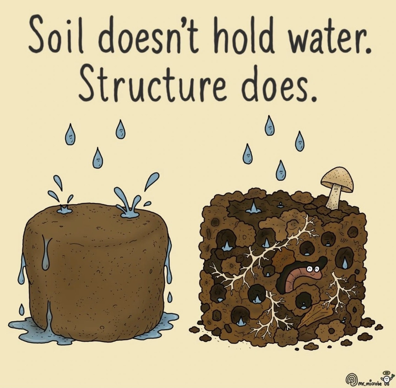 Soil doesn't hold water — structure does